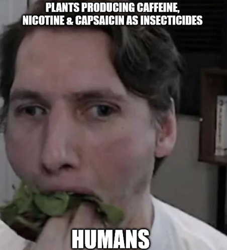A meme featuring a man eating lettuce with the text 'PLANTS PRODUCING CAFFEINE, NICOTINE & CAPSAICIN AS INSECTICIDES' at the top and 'HUMANS' at the bottom.