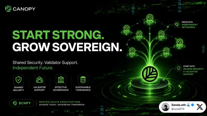 A dark promotional graphic for Canopy ($CNPY) featuring the tagline "START STRONG. GROW SOVEREIGN." with green circuit-like visuals and a central $CNPY logo surrounded by networked nodes. The image highlights four key pillars—Shared Security, Validator Support, Effective Governance, and Sustainable Tokenomics—reinforcing the post's emphasis on Canopy's nested chain architecture providing foundational support for new blockchain ecosystems.