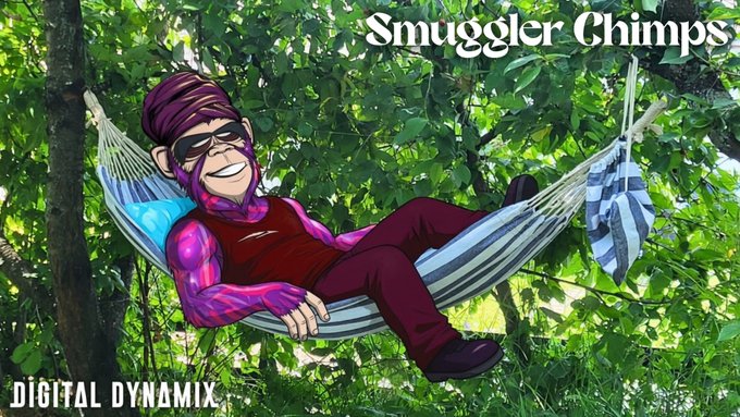 A cartoon illustration of a purple-skinned character wearing a beanie and sunglasses, relaxing in a hammock in a forest, with the text 'Smuggler Chimps' and 'DIGITAL DYNAMIX'.