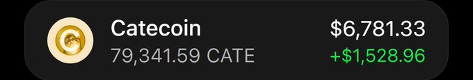 A cryptocurrency portfolio display shows a holding of 79,341.59 CATE (Catecoin) valued at $6,781.33, with a positive change of +$1,528.96 shown in green.