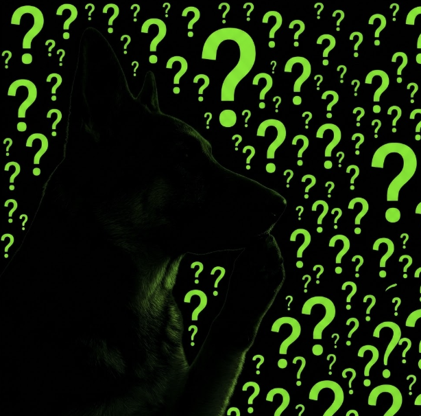 A silhouette of a dog in profile is surrounded by numerous green question marks on a black background.