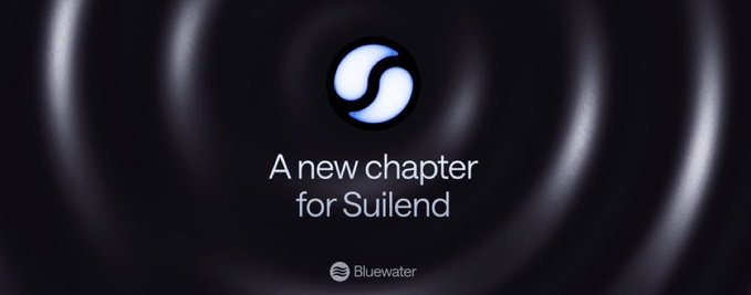 A sleek black graphic with a swirling blue logo announces "A new chapter for Suilend" alongside the Bluewater name and logo, visually marking Bluewater's acquisition of Suilend and its ecosystem products (SpringSui and Steamm).