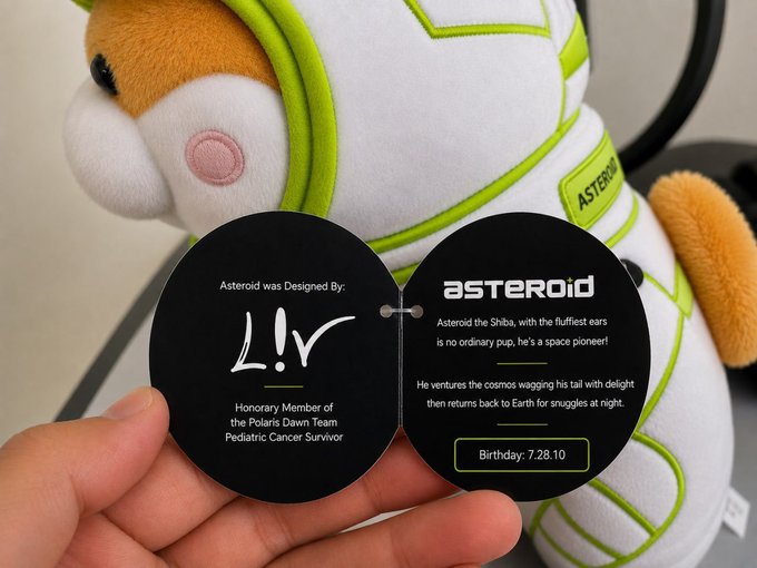 This image features an "Asteroid" plush toy, designed by Liv, a pediatric cancer survivor, with a tag detailing its backstory and birthday. The plush toy's design and the accompanying text tie directly into the post's narrative about Liv's dreams and support for sick children.
