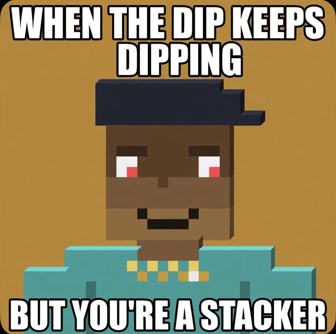 A meme featuring a pixel art character resembling Steve from Minecraft with a calm expression, accompanied by the text 'WHEN THE DIP KEEPS DIPPING' and 'BUT YOU'RE A STACKER'.