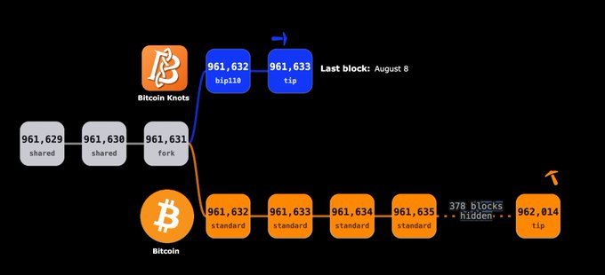 A blockchain fork diagram showing Bitcoin Knots and Bitcoin chains diverging at block 961,631, with the Bitcoin chain extending through 378 hidden blocks to reach tip 962,014.
