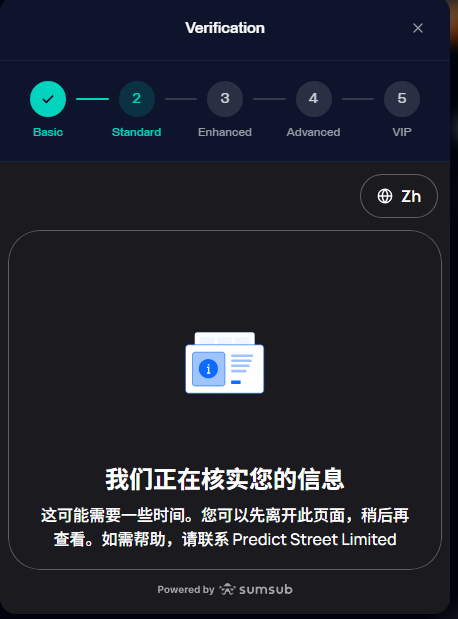 A verification screen in Chinese indicating that information is being reviewed, with 'Basic' completed and 'Standard' in progress, powered by sumsub.