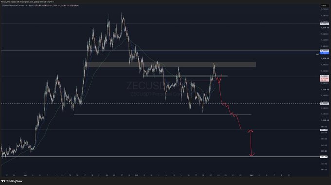A TradingView chart of ZEC/USD shows price rejecting resistance and following the annotated red bearish path toward lower support, with a vertical arrow indicating the expected downside move. Visible elements include the watermark “ZECUSD,” a “ZECUSD Perpetual” label, and multiple horizontal support/resistance levels.