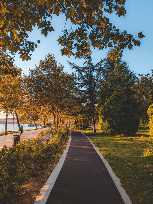 A scenic photograph of a paved walkway through a park lined with trees and bushes, with water visible in the background under a clear blue sky.