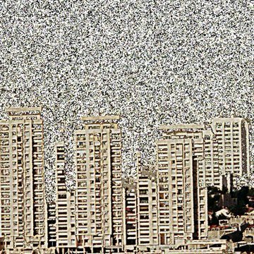 A sepia-toned image shows a row of tall apartment buildings beneath a sky filled with a massive flock of birds, creating a dense, textured pattern overhead.
