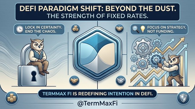 A promotional graphic titled 'DEFI PARADIGM SHIFT: BEYOND THE DUST. THE STRENGTH OF FIXED RATES' featuring cartoon owls, a hexagonal logo, and the text 'TERMAX FI IS REDEFINING INTENTION IN DEFI' with the handle '@TermMaxFi'.