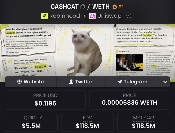 The image shows a crypto token page for CASHCAT/WETH on Uniswap V3, displaying a price of $0.1195 USD (0.00006836 WETH) with a market cap and FDV of $118.5M and $5.5M liquidity. The page features a white cat photo surrounded by humorous news clippings about "CashCat" and Robinhood, visually supporting the post's claim of extraordinary overnight gains on the meme token.