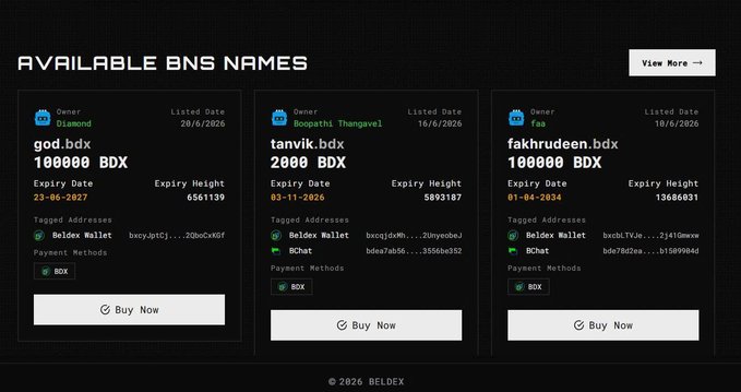 The image showcases the Beldex (BDX) BNS Marketplace interface displaying available .bdx domain names for sale, including "god.bdx" listed at 100000 BDX, "tanvik.bdx" at 2000 BDX, and "fakhrudeen.bdx" at 100000 BDX. The clean, user-friendly listing page with clear owner details, pricing, and one-click "Buy Now" buttons visually supports the post's message about @BeldexCoin transforming complex crypto trading into a seamless, accessible experience for trading human-readable identities peer-to-peer.