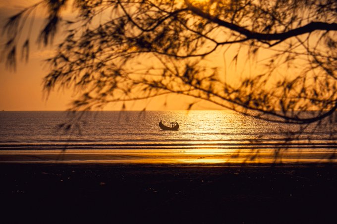 A serene sunset scene over the ocean with a small boat silhouetted on the water, framed by tree branches in the foreground casting a warm golden glow.