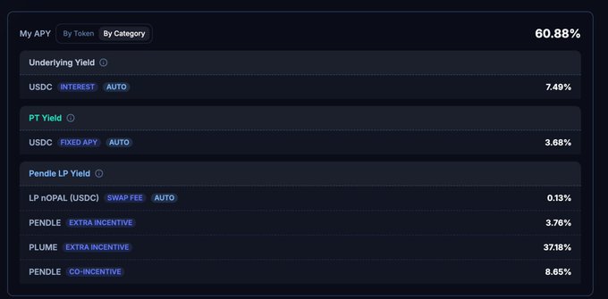 The image shows a screenshot of a page that contains various options for investing, including cryptocurrencies such as bitcoin, and a list of different types of exchanges offering these services. The focus appears to be on LP APY, which is a cryptocurrency exchange with the highest return potential in terms of interest payments (60% XPY). There are two different payment methods available: fiat currency, represented by USDC, and cryptocurrency. The image also shows several options for trading, including coins, Plume, Pendle, Extra Incentives, Conviction, and Pun Diesel (Pendle) as the main cryptocurrencies in play at this time.