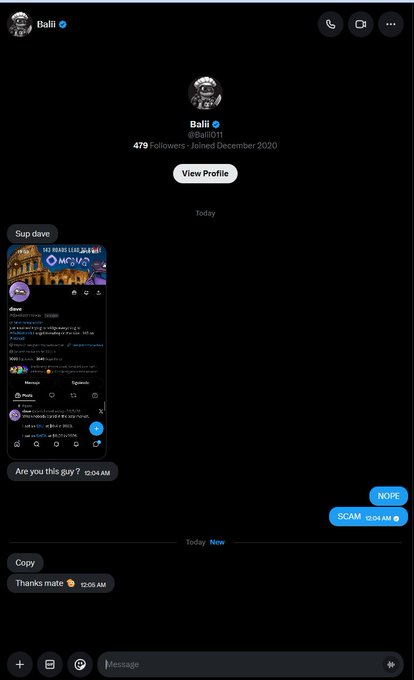 A Twitter DM screenshot from user 'Balli' sharing a post about 'Sup davo' and a 'Movs' account, with messages labeling it 'NOPE' and 'SCAM'.