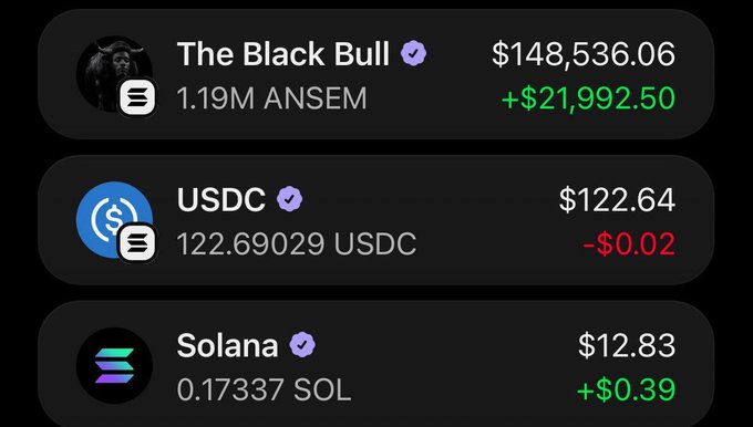 Crypto portfolio dashboard showing The Black Bull (ANSEM) at $148,536.06 (+$21,992.50), USDC at $122.64 (-$0.02), and Solana at $12.83 (+$0.39).