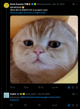 A screenshot of a social media post by Kevin Sussanto (@kevinsussanto) dated Dec 21, 2024, featuring a close-up image of a grumpy-looking orange and white cat with text overlaid reading "GM MILADY" and "35m MC AI AGENT CAT is so damn cute!". Below, user Cedric replies with "$TAOCAT" referencing the cat-themed post, connecting to the crypto token TAOCAT mentioned in the context.