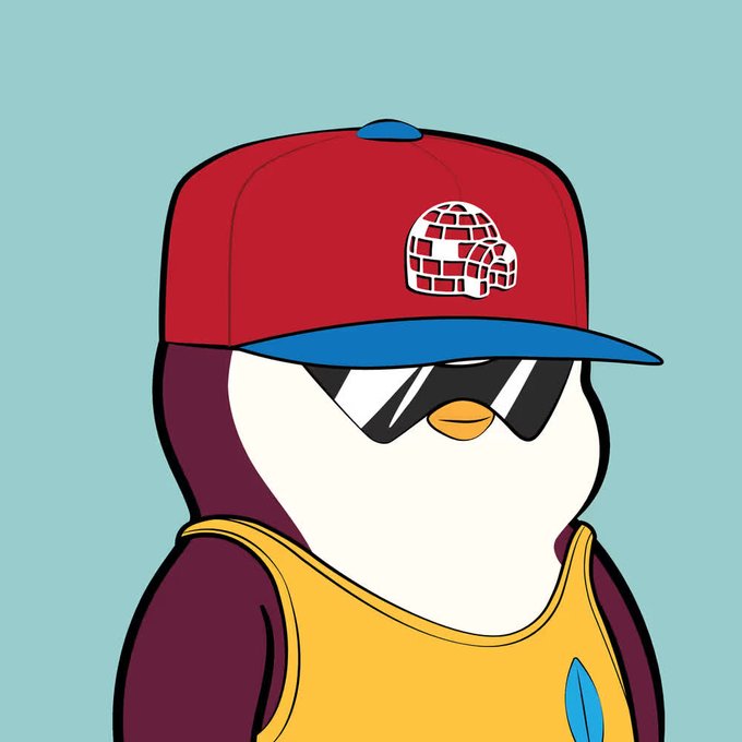 A cartoon illustration of a penguin character wearing a red and blue cap with an igloo logo, dark sunglasses, and a yellow tank top against a light blue background.