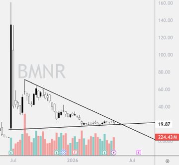 A candlestick chart for ticker BMNR shows a sharp early peak around $135 before entering a multi-month downtrend within a descending channel, with price currently consolidating near $19.87 on a 224.43M volume spike, suggesting the stock may be nearing a breakout or capitulation point consistent with the post's "Their time is coming" sentiment.