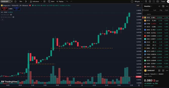 A TradingView chart for DOGE/USDT showing a 30-minute candlestick chart with a sharp upward price trend, alongside a watchlist displaying various cryptocurrency tickers like BTC, ETH, SOL, ADA, and others with their price changes.