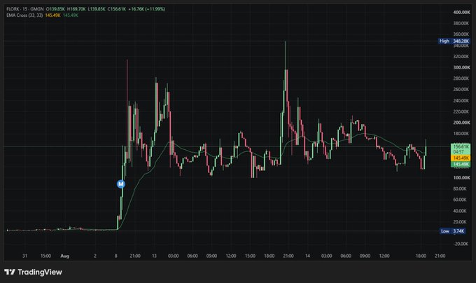A TradingView candlestick chart displays FLOKI/USDT on the 15-minute timeframe (EMA 33), showing a sharp early-August parabolic rally peaking near 343.28K followed by a prolonged sideways consolidation between roughly 140K–165K, with the current price hovering at 159.61K — visually supporting the post's claim that the token has been "sideway in bottom long enough" to be "strong enough."