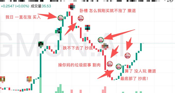 A candlestick chart labeled "GMEME" (+0.2547, +0.00%, volume 35.53) with humorous Chinese annotations mocking a typical on-chain trader's emotional mistakes, including "卧槽 怎么我刚买就不涨了 撤退" (WTF, why does it stop pumping right after I buy? Retreat), "跌不下去了 抄底" (It can't fall further, bottom-fishing time), "操你妈的垃圾叙事 割肉" (F*** this garbage narrative, cutting losses), "算了 没人玩 撤退" (Forget it, nobody's playing, retreat), and "最底部了 抄底!" (This is the bottom, buying the dip!) — illustrating the classic cycle of buying tops, panic selling, and bottom-catching that leads to losses.