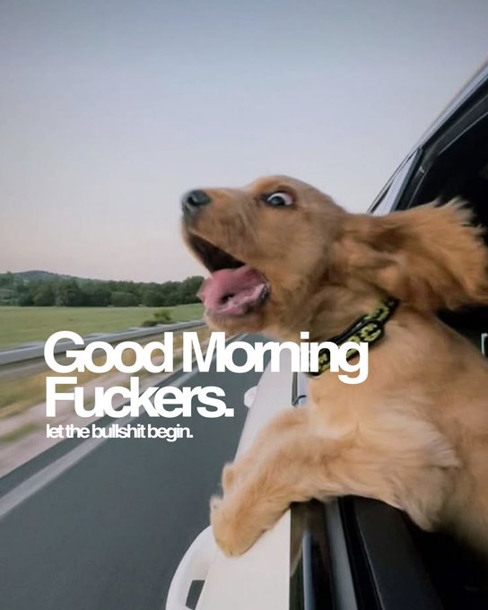 A golden retriever sticking its head out of a moving car window, with text overlay reading 'Good Morning Fuckers. let the bullshit begin.'