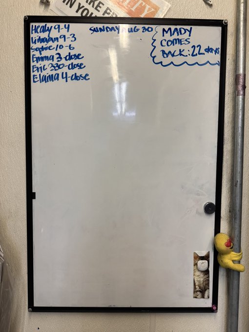 A whiteboard displays a work schedule for Sunday, July 30, listing employee shift times (Healy 9-4, Graham 9-3, Cooper 10-6, Emma 3-close, Eric 3:30-close, Elaina 4-close), with a note that "MADY COMES BACK: 22 days" — serving as visual proof of a completed shift schedule, likely posted by a manager named Mady on her return.