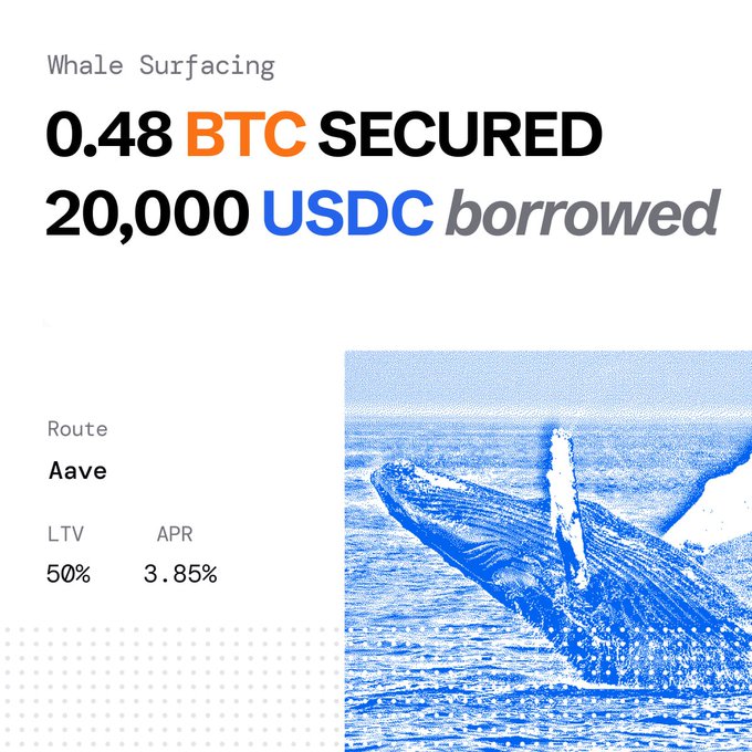 A graphic showing 'Whale Surfacing' with '0.48 BTC SECURED' and '20,000 USDC borrowed' via the Aave route at 50% LTV and 3.85% APR, alongside a blue-tinted image of a whale.