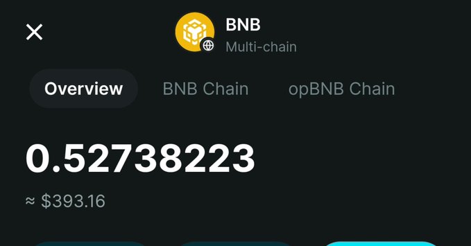 A digital wallet interface showing 'BNB Multi-chain' with a balance of 0.52738223 BNB, approximately equal to $393.16, with tabs for Overview, BNB Chain, and opBNB Chain.
