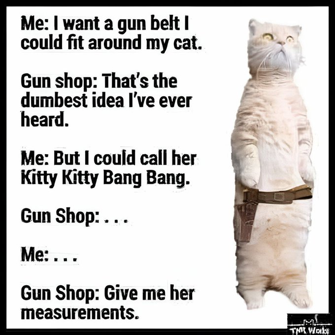 A humorous meme showing a cat wearing a gun holster, with a conversation between 'Me' and 'Gun Shop' about ordering a gun belt for the cat, named 'Kitty Kitty Bang Bang'.