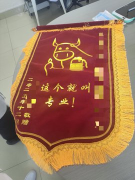A red and yellow pennant banner with gold fringe featuring a bull logo and Chinese characters that read 'JDG 这个就叫专业!' (JDG This is what you call professional!).