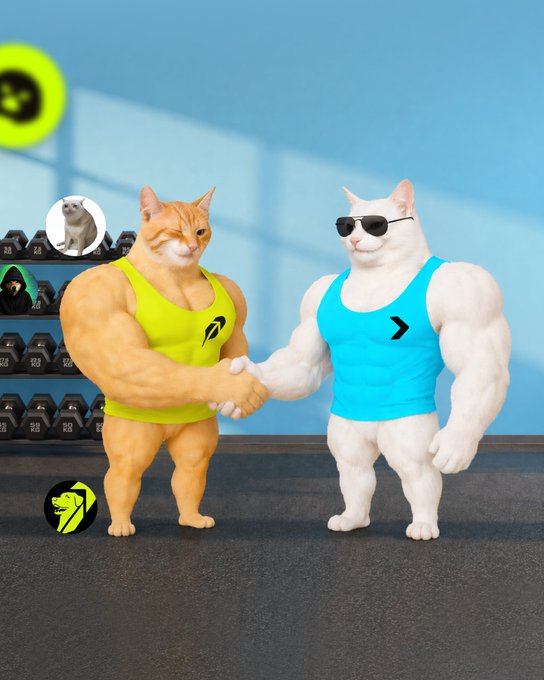 Two muscular cats in workout attire—one orange in a yellow tank top and one white wearing sunglasses in a blue tank top—shake hands in a gym setting, symbolizing a partnership or integration between two platforms.

The handshake imagery reflects the post's announcement of new integrations, highlighting features like security checks, PNL tracking, Uniswap V3 routing, and full Robinhood Chain support on Bitget Wallet from Day 1.