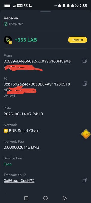 A completed cryptocurrency transaction receipt showing a transfer of +333 LAB on the BNB Smart Chain network, dated 2026-08-14 07:24:13.