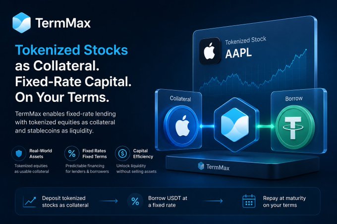 A TermMax promotional graphic illustrates tokenized AAPL stock being used as collateral to borrow USDT (Tether), with a workflow showing "Deposit tokenized stocks as collateral → Borrow USDT at a fixed rate → Repay at maturity on your terms." The image visually reinforces the post's point about TermMax's RWA lending model on BNB Chain, where tokenized equities enable fixed-rate financing without forcing liquidation of the underlying asset.