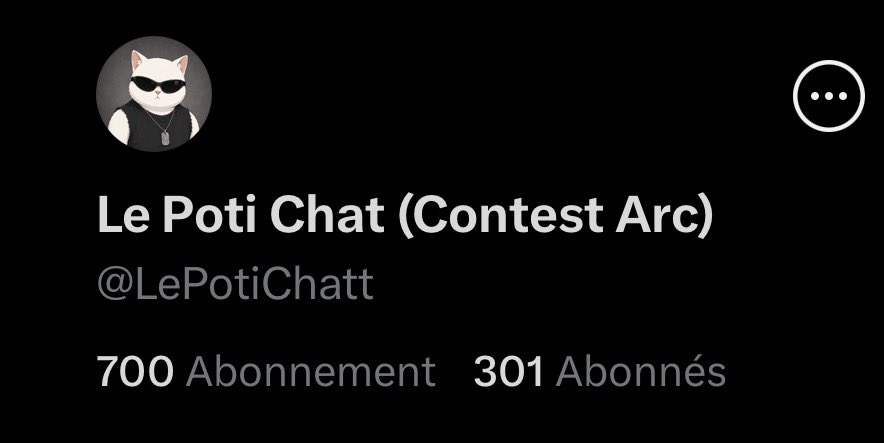 A Twitter profile card for 'Le Poti Chat (Contest Arc)' (@LePotiChatt) showing a cat avatar with sunglasses, 700 abonnement and 301 abonnés.