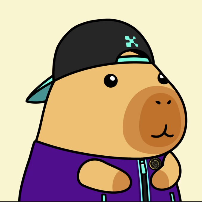 A cartoon illustration of a capybara wearing a black cap with an 'X' logo and a purple jacket.