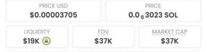 The image shows a cryptocurrency price tracker displaying a token with a price of $0.00003705 USD (0.00000003023 SOL), $19K liquidity, and both FDV and market cap of $37K. This low-cap meme coin's minimal valuation aligns with the post's claim of finding a small-cap token with potential 100-5000x returns.