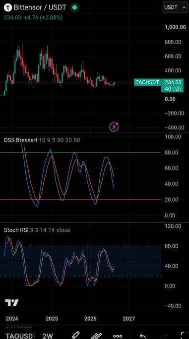 A TradingView candlestick chart for 'Bittensor / USDT' (TAOUSDT) with a current price of 234.03, displaying DSS Bressert and Stoch RSI indicators below the main chart.