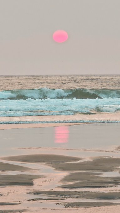 A serene beach scene at sunset with ocean waves rolling onto wet sand that reflects a vibrant pink sun in the hazy sky.