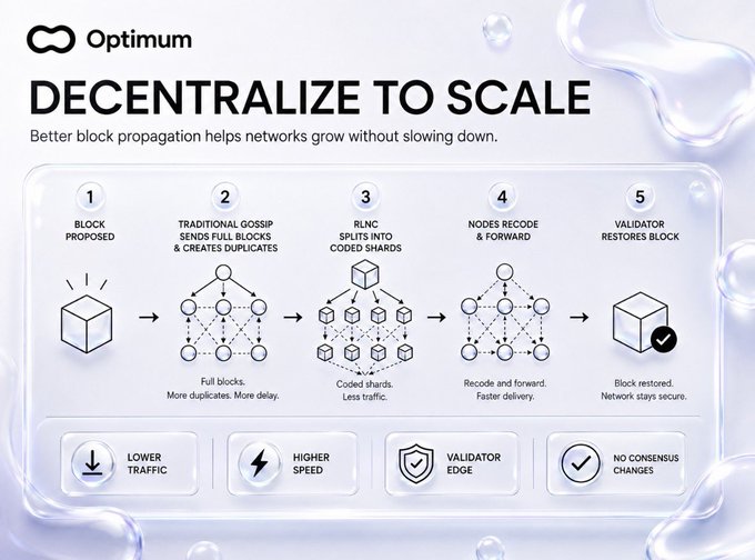 Optimum 'Decentralize to Scale' infographic illustrating a 5-step block propagation process: Block Proposed, Traditional Gossip, RLNC Splits into Coded Shards, Nodes Recode & Forward, and Validator Restores Block, highlighting lower traffic, higher speed, validator edge, and no consensus changes.