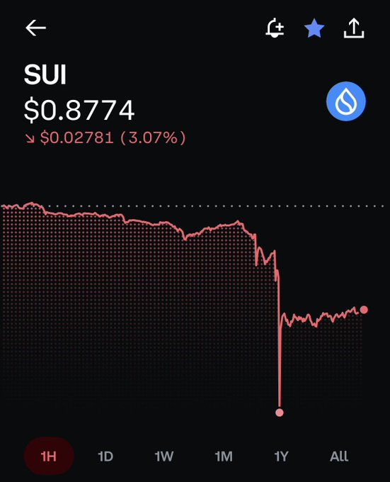 The image shows a stock chart with a red line that has fallen below the $sui symbol, indicating a decrease in value for the company. The chart also displays the date of the drop, which is on the left side of the screen. The caption above the chart reads "Fuck is $sui doing". This suggests that someone might be making a joke or expressing their opinion about the stock market's performance and the company's financial situation.