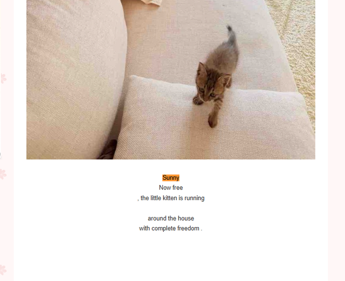 A small tabby kitten named 'Sunny' standing on a beige couch cushion, with text below reading 'Sunny Now free, the little kitten is running around the house with complete freedom.'