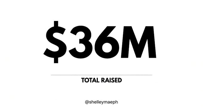 Slide displaying '$36M' in large text with 'TOTAL RAISED' below and the handle '@shelleymaeph' at the bottom.