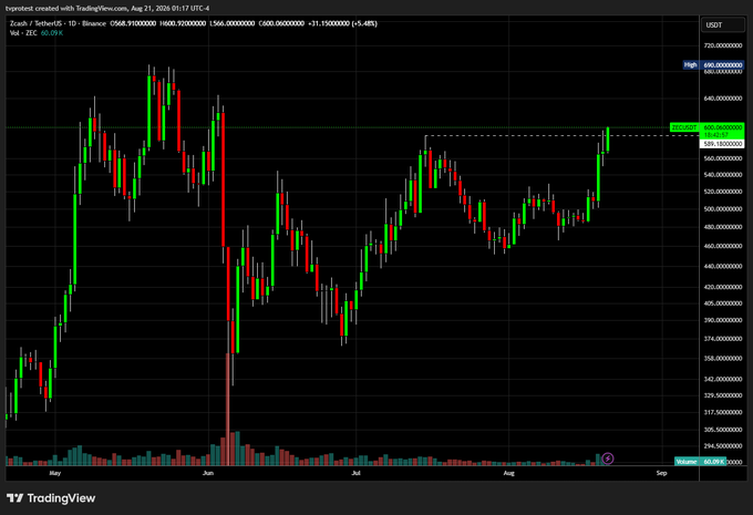 The image shows a TradingView candlestick chart of Zcash (ZEC/USDT) on Binance from April to early September, displaying a volatile price range with a major peak around $680 in May, a sharp crash down to roughly $400, and a recent rally back toward the $620-$640 resistance area. The current candle shows ZEC trading near $620 with a +5.48% gain, tying into the poster's tongue-in-cheek "Im ready to be hurt again $ZEC" sentiment about riding the volatile altcoin.