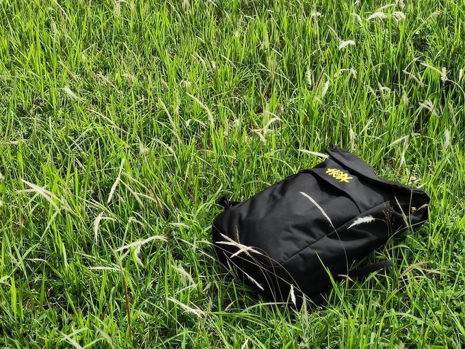 A black messenger bag with yellow text rests on a patch of tall, sunlit green grass with feathery seed heads.