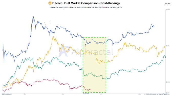 A line chart from Alphractal titled "Bitcoin: Bull Market Comparison (Post-Halving)" compares BTC price performance across the post-halving periods of 2012, 2016, 2020, and 2024, with a green dashed box highlighting the 500-900 day window where each prior bull market experienced a significant drawdown before recovering to new highs. The chart visually supports the post's message that investors who "locked in" (held/accumulated) during that historical mid-cycle dip zone were rewarded by subsequent major rallies.