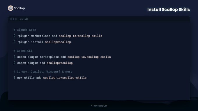 A dark-themed installation guide for "Install Scallop Skills" displays terminal commands for three different tools: Claude Code (using `/plugin marketplace add` and `/plugin install` commands), Codex CLI (using `codex plugin marketplace add` and `codex plugin add` commands), and an "and more" section for Cursor, Copilot, Windsurf & more (using `npx skills add`). The image directly illustrates the post's installation instructions, visually presenting the exact code snippets needed to install the scallop-skills plugin across various AI coding environments.