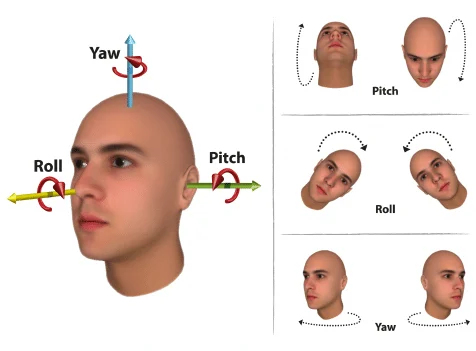 An educational diagram illustrating the three axes of head movement—Yaw, Pitch, and Roll—on a 3D rendered human head, with smaller examples on the right.
