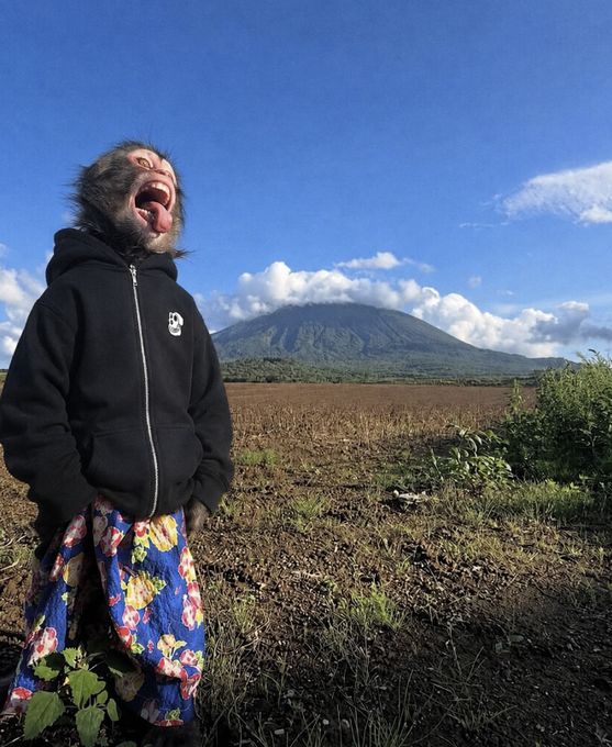 A person in a black hoodie and floral pants stands in a rural field with a volcano in the background, their face transformed into a dramatic roaring expression that perfectly embodies the wild, untamed "MOOD."